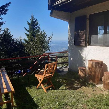 Holiday House Nesovic 카파오닉 외부 사진