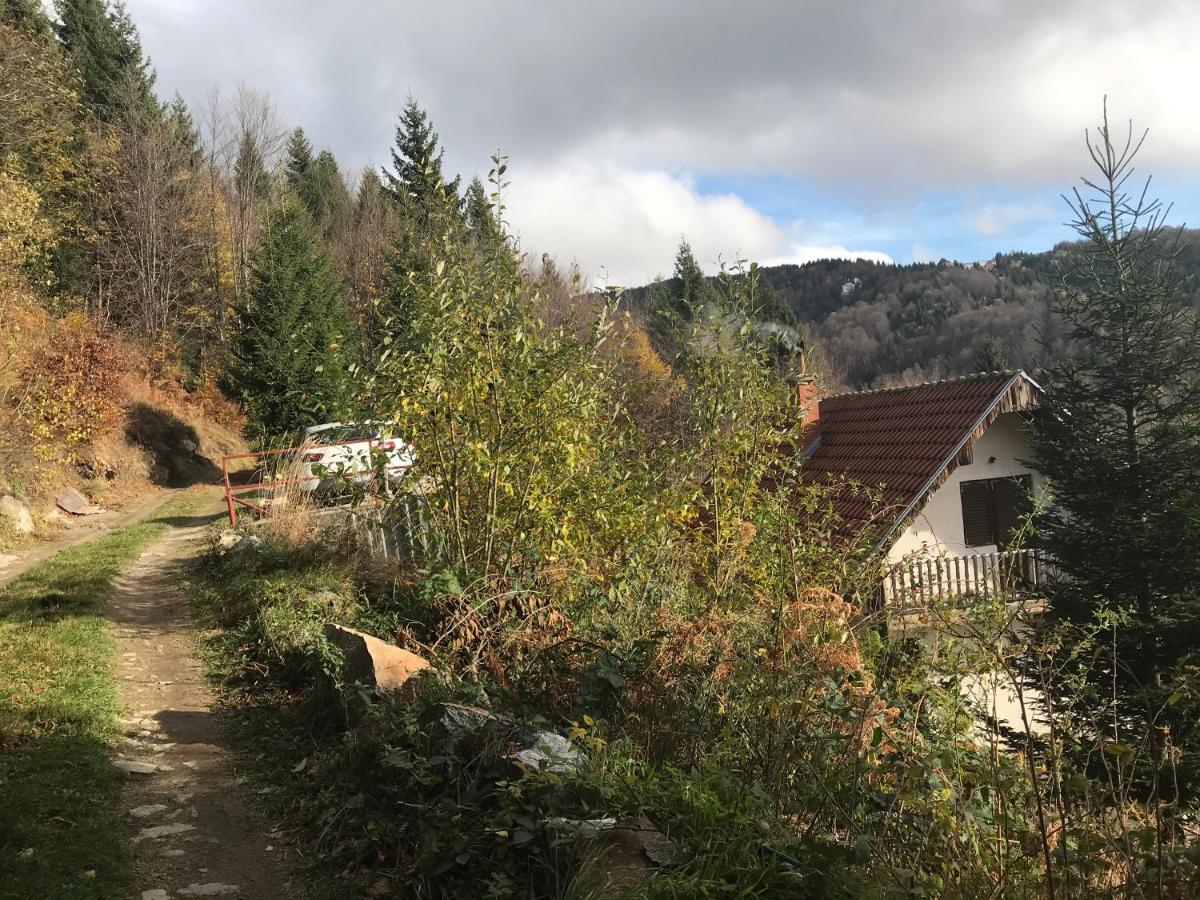 Holiday House Nesovic 카파오닉 외부 사진