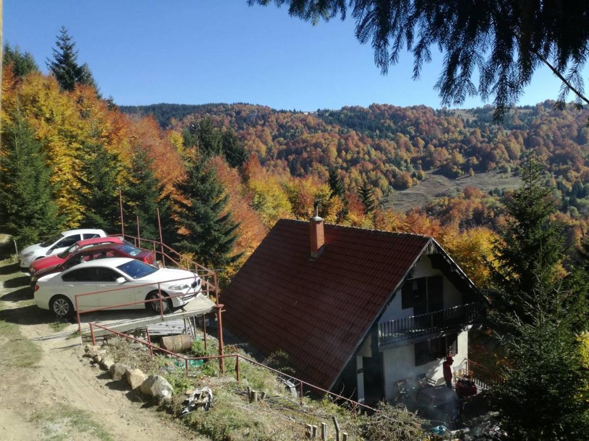 Holiday House Nesovic 카파오닉 외부 사진